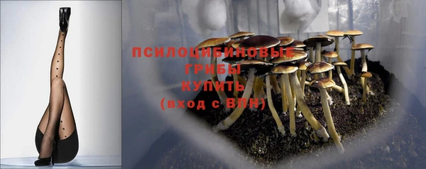 кокс Алексин