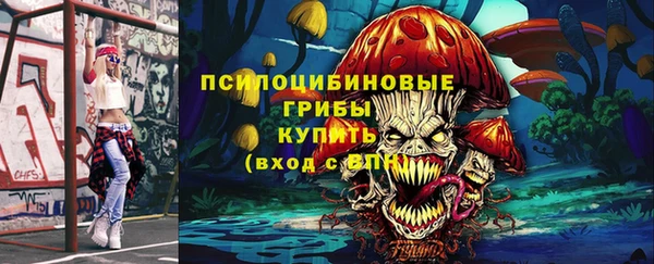 гашик Алексеевка