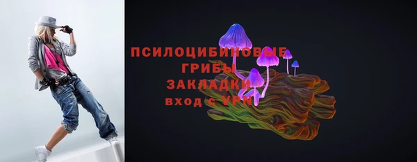 кокс Алексин
