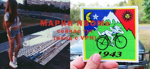 шишки Алзамай