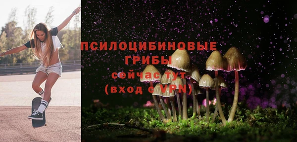 кокс Алексин