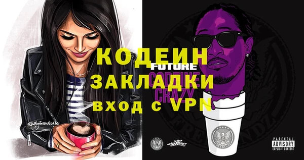гашик Алексеевка