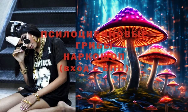 гашик Алексеевка