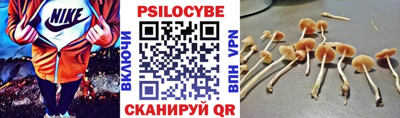 Галлюциногенные грибы Cubensis  Малоархангельск 
